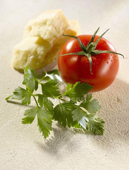 Пармезан, помидоры и петрушка — стоковое фото