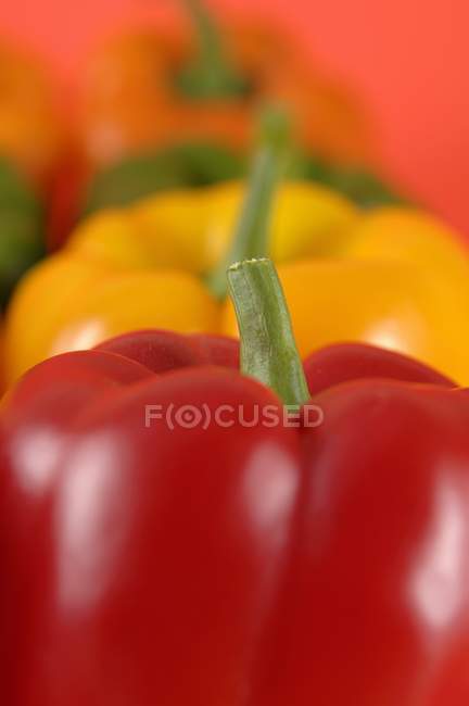 Pimentas de sino maduras coloridas — Fotografia de Stock