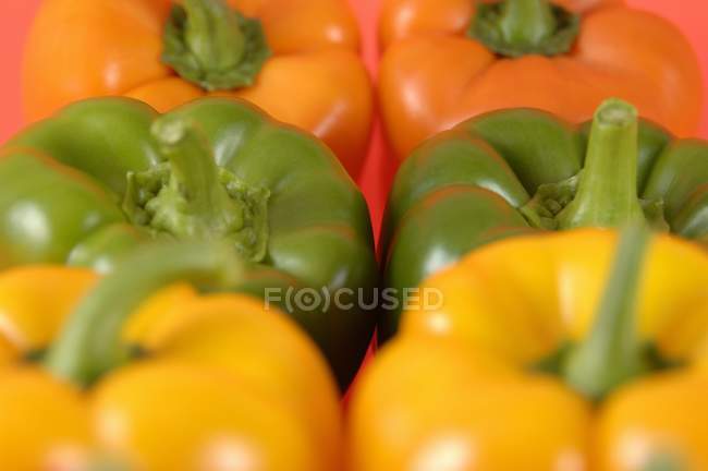 Colorful ripe bell peppers — Stock Photo