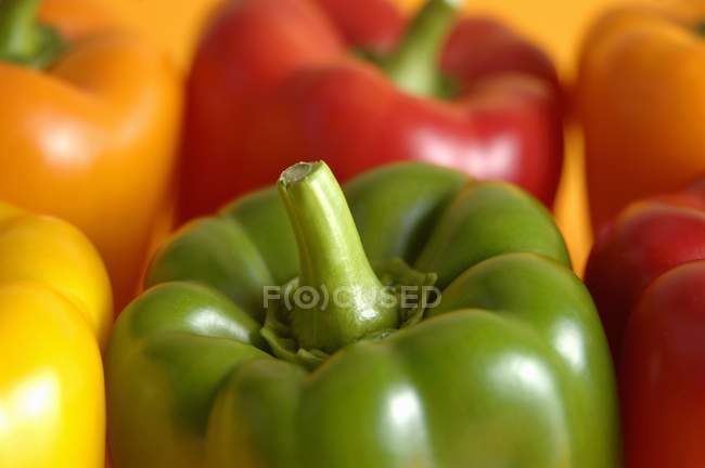 Colorful ripe bell peppers — Stock Photo