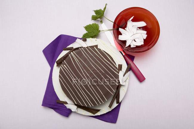 Охолоджений шоколадний кокосовий торт — стокове фото