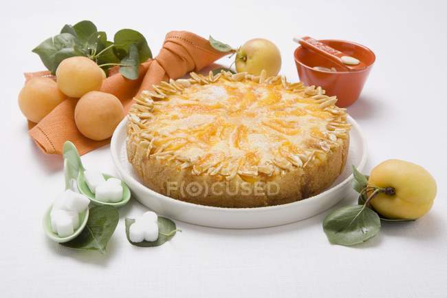 Apricot cake with slivered almonds — Stock Photo