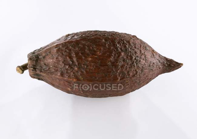Rohe Kakaoschote — Stockfoto