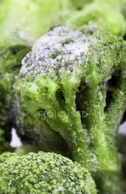 Brócolos verdes congelados — Fotografia de Stock