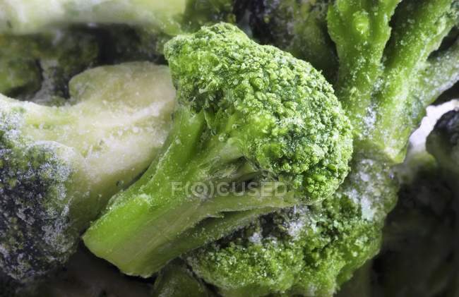 Frozen green broccoli — Stock Photo
