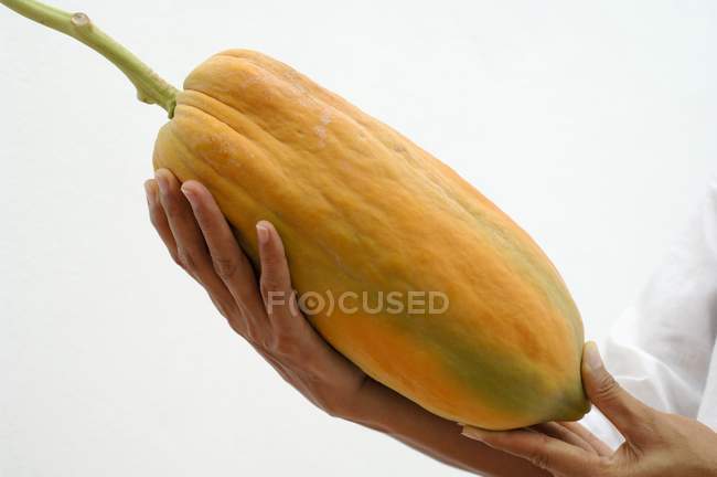 Donna in possesso di papaia matura — Foto stock