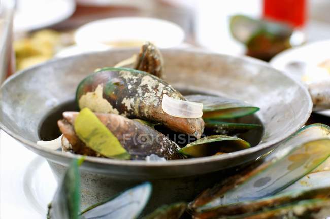 Cooked Thai mussels — Stock Photo