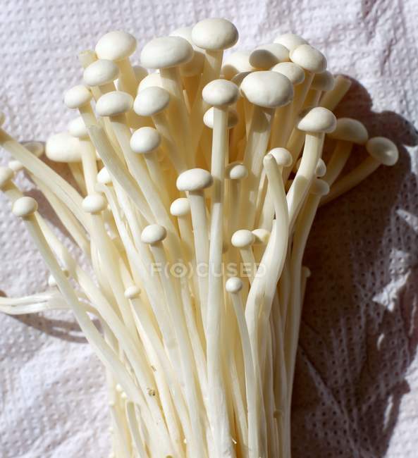 Enokitake mushrooms, close-up — Stock Photo