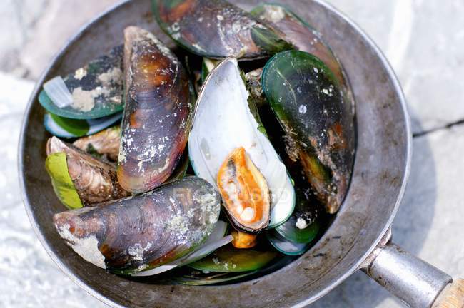 Cooked Thai mussels — Stock Photo