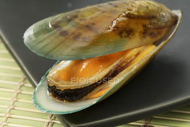 Fresh opened mussel — Stock Photo