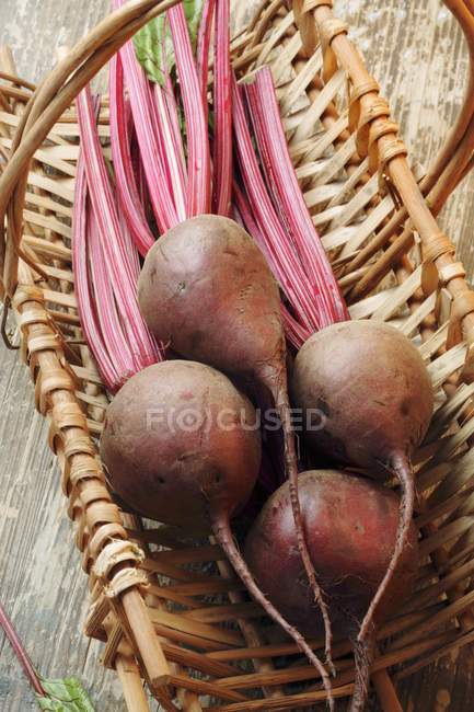 Barbabietole fresche mature — Foto stock