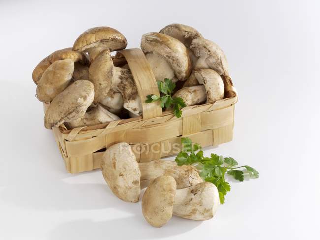 Ceps in a basket, close-up — Stock Photo