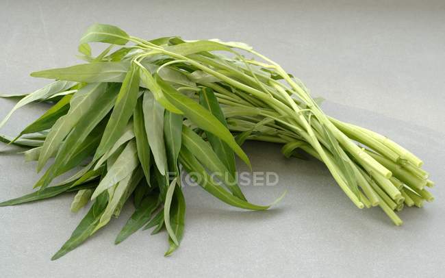 Water spinach sprigs — Stock Photo