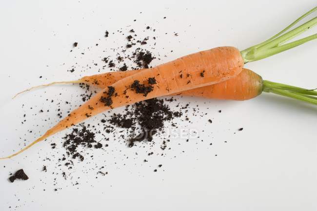Deux carottes avec terre — Photo de stock