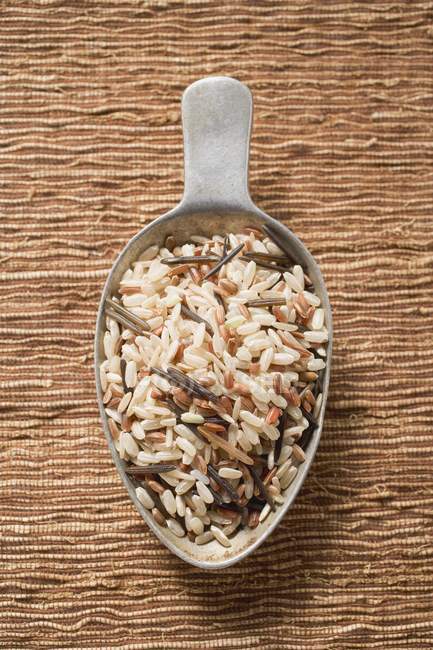 Mixed uncooked rice in scoop — Stock Photo