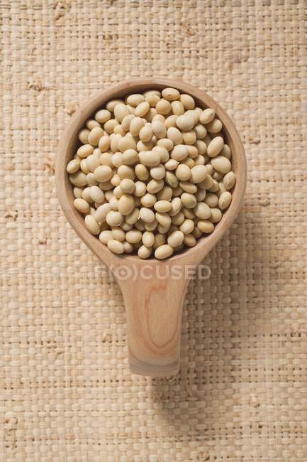 Haricots secs de soja — Photo de stock