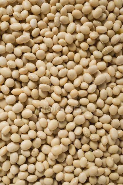 Fagioli di soia essiccati — Foto stock