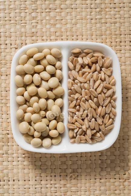Dried Soya beans and spelt — Stock Photo