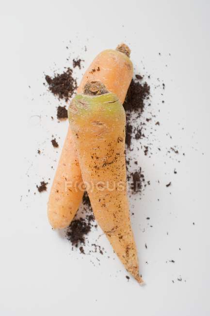 Дві морквини з грунтом — стокове фото