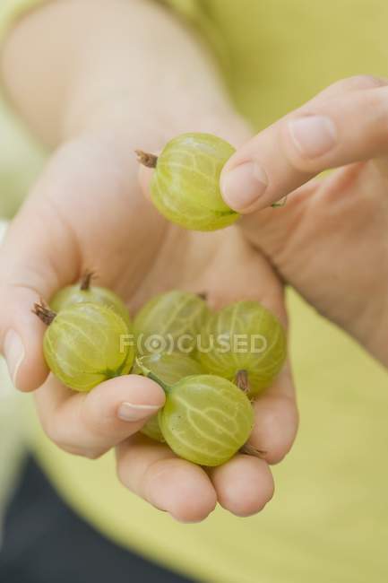 Woman holding fresh gooseberries — Stock Photo