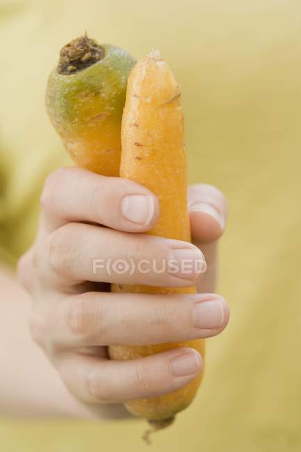 Рука тримає дві морквини — стокове фото