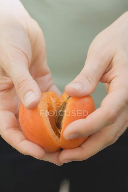 Mains humaines coupant de moitié abricot — Photo de stock