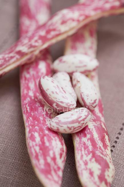Borlotti beans, shelled and unshelled — Stock Photo
