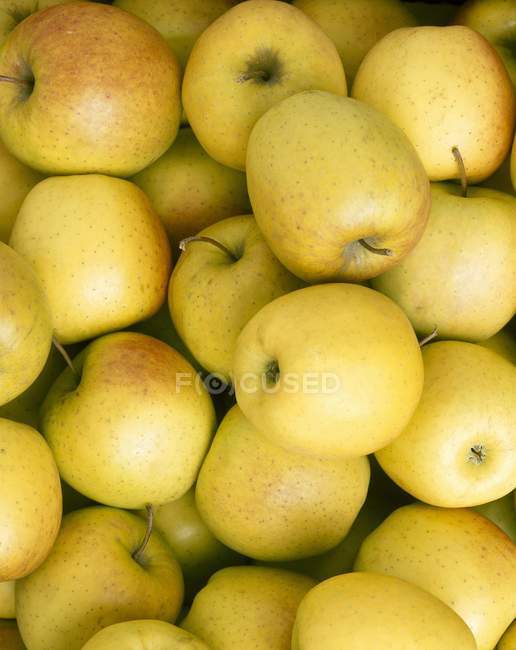 Golden Delicious Pommes — Photo de stock