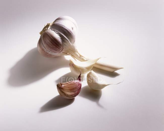 Луковица чеснока и гвоздика — стоковое фото