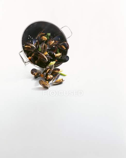Cooked mussels with vegetables — Stock Photo