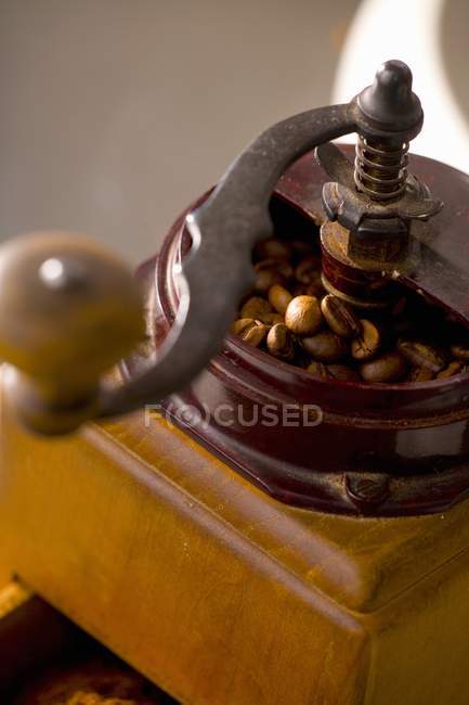 Old coffee mill with beans — Stock Photo