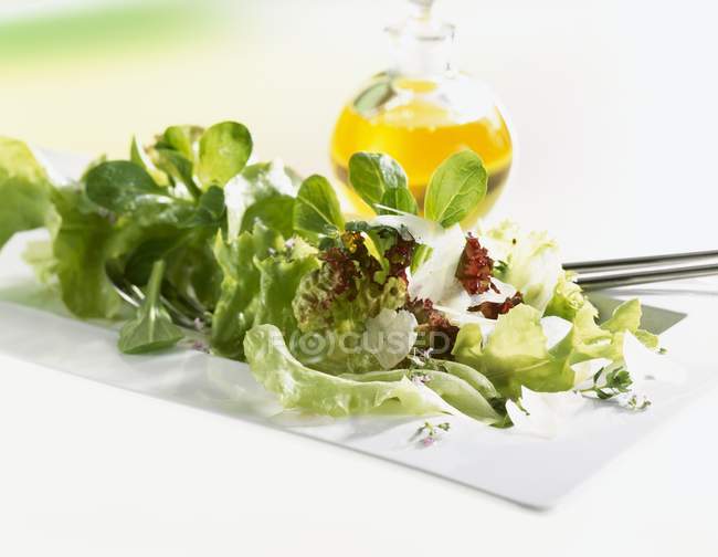 Мікс-салат з пармезаном — стокове фото