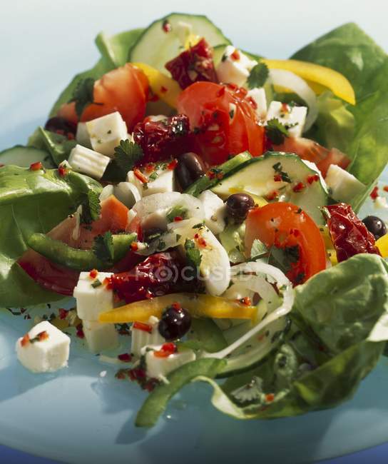 Shepherd salad with tomatoes — Stock Photo