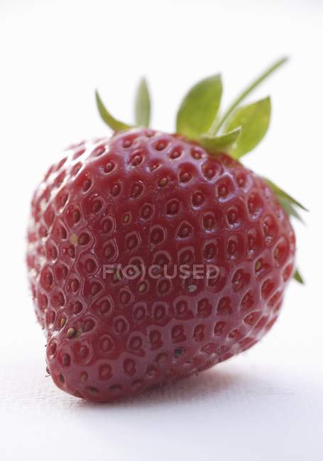 Fresh Ripe Red Strawberry — Stock Photo