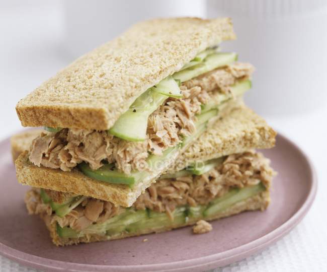 Tuna and cucumber sandwiches in wholemeal bread on plate — Stock Photo