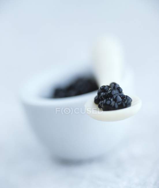 Black caviar on white spoon — Stock Photo