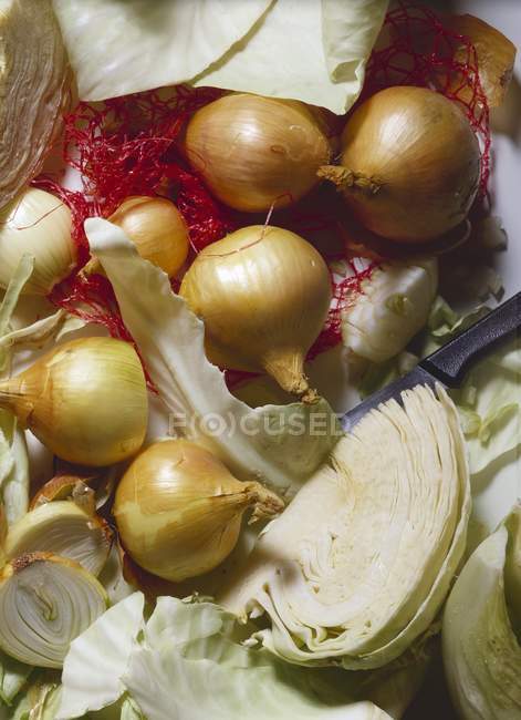 White cabbage and onions — Stock Photo