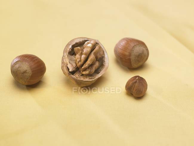 Open walnut and hazelnuts — Stock Photo