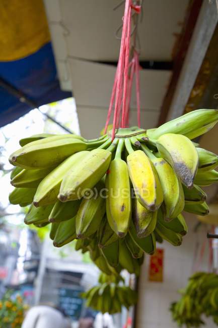 Um monte de bananas verdes — Fotografia de Stock