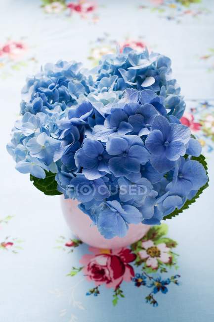 Vista elevada de flores de hortensias azules en jarrón - foto de stock