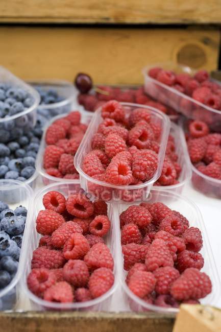 Fresh raspberries and blueberries — Stock Photo