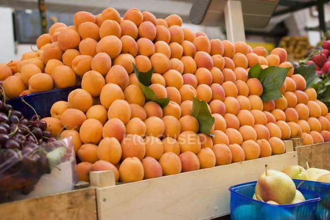 Куча свежих спелых абрикосов — стоковое фото