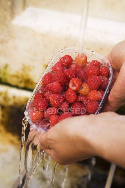 Female hands holding raspberries in container — Stock Photo