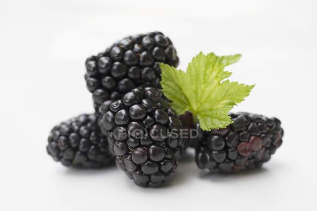 Fresh blackberries with leaf — Stock Photo