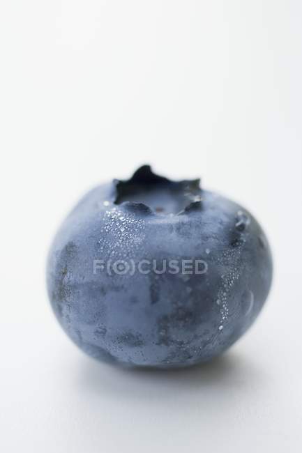 Fresh ripe blueberry — Stock Photo