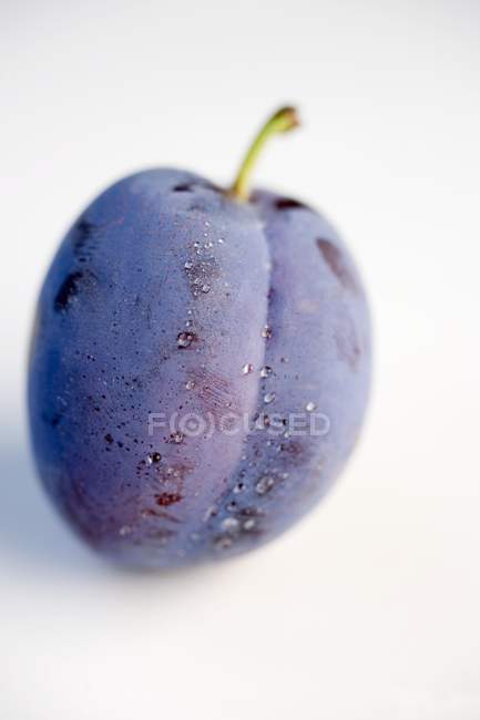 Prune fraîche avec gouttes d'eau — Photo de stock