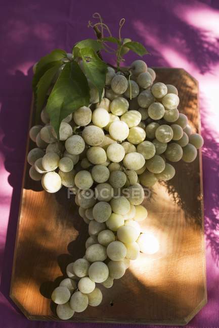Uvas verdes con hojas - foto de stock