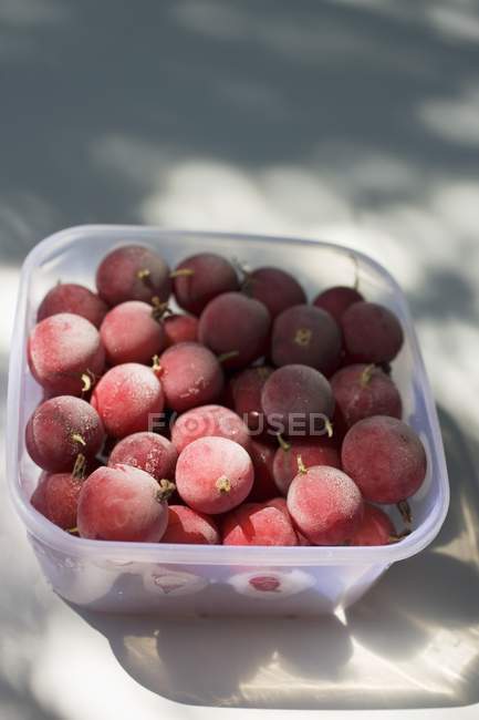 Gooseberries in plastic container — Stock Photo