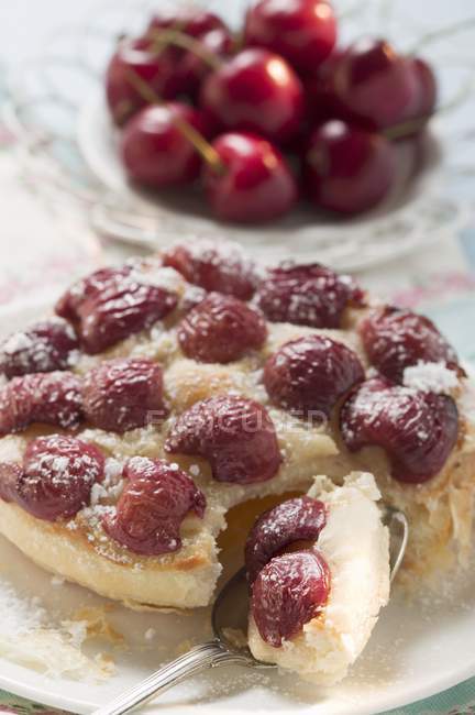 Cherry tart with icing sugar — Stock Photo