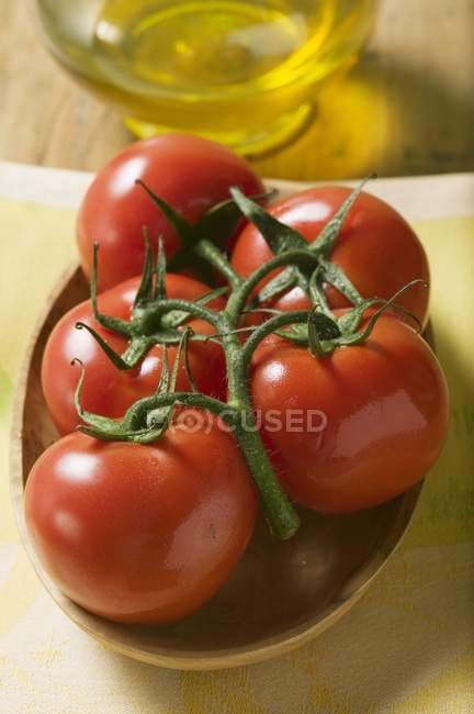 Tomates em videira em tigela — Fotografia de Stock